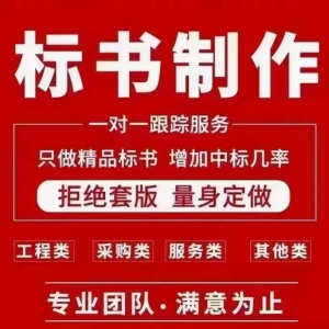 標(biāo)書(shū)制作 實(shí)體 一對(duì)一