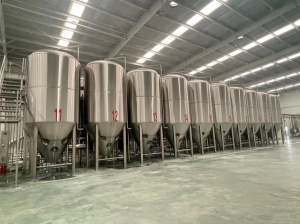 供應(yīng)遼寧的年產(chǎn)1萬噸的大型精釀啤酒設(shè)備生產(chǎn)定做廠家
